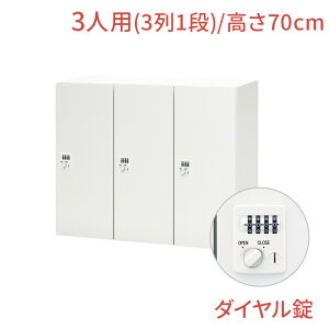 y11/1聟SiőP10{zNL bJ[ 3lp o[`J^Cv _C 90cm 70cmit 1i ItBX p[\ibJ[ Mdi WPbg  ItBX[  zCg  @