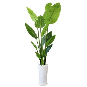 �y�S�i�ő�P10�{��12/15�܂Łz�t�F�C�N�O���[�� �X�g���`�A �M�t �X�����v�����^�[ ����155cm (�ϗt�A�� �t�F�C�N ������� �C���e���A ��^ �t���A�O���[�� �M�t�g �J�X�j�� ���t�� ���r���O 