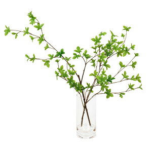 y12/1聟SiőP10{ztFCNO[ hE_ccW EH[^[V_[ 60cm(ϗtA tFCN  CeA rO _CjO e[u Lb`  e[