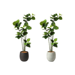 tFCNO[ Ex[^ GbO|bg 155cm(ϗtA tFCN  CeA ^ tAO[  ze GgX Mtg JXj t rO _CjO