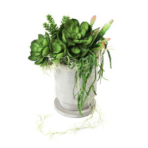 y11/1聟SiőP10{ztFCNO[  񂹐A egv^[ 30cm (ϗtA tFCN  CeA sv  A ItBX  t rO _C