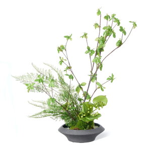 フェイクグリーン 寄せ植え盆栽 平皿 ドウダンツツジ 高さ56cm(観葉植物 フェイク おしゃれ インテリア 盆栽 テーブルグリーン 寄せ植え 苔 リビング ダイニング テーブル キッチン 投げ入れ