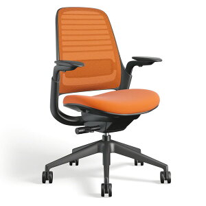 �X�`�[���P�[�X Steelcase Series1 �`�F�A �t���[���u���b�N �A�W���X�^�u���A�[���i�I�t�B�X�`�F�A ���[�N�`�F�A ���b�V���`�F�A �f�X�N�`�F�A pc�`�F�A �I�t�B�X �̏d���m�@�\ �L���X�^�[�t ��