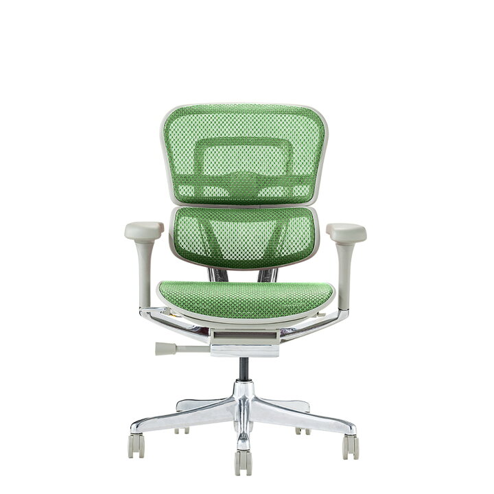 楽天市場】Ergohuman エルゴヒューマン pro2 ロータイプ（完成品 