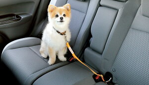 t[hybgԊOяoh~[h(STCY) 08Z41-E6K-000C GT1 GT2 GT3 GT4 GT5 GT6 GT7 GT8 HONDA z_  ANZT[ p[c FREED