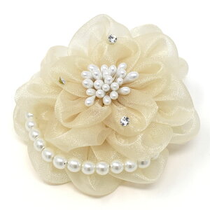 t[RT[W  p[r[Y L[rbNWRjA w Ǝ tH[}