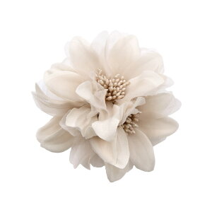 RT[W t[ wAANZ u[` fB[X tH[} Zj[   w Ǝ ܎O {Q \  X[c