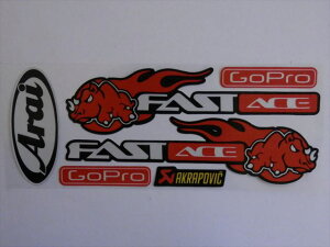 yXebJ[@V[@fJ[zARAI@FASTACE@GOPRO@AKRAPOVIC@XebJ[(120110)