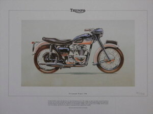TRIUMPH�@TIGER�@100