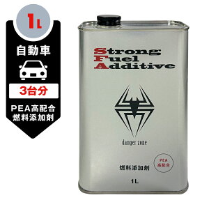 ijqoE[ SFA RY 1L K\Y/fB[[Y/ikCEE͏j