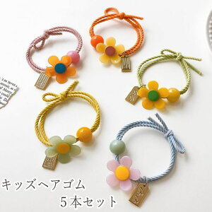 ǂ wAS 5{Zbg t[ `[  LbY 5F  Jt 킢 wAANZT[