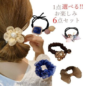 ヘアゴム 福袋 髪留め ヘアアクセサリー 1点えらべる お楽しみ 6点セット セット 大人 かわいい シフォン シュシュ パール 大粒 お買い得 髪飾り おすすめ