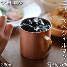 アサヒ 食楽工房 銅 ニュースペシャルマグ 360ml 純銅 マグカップ 日本製