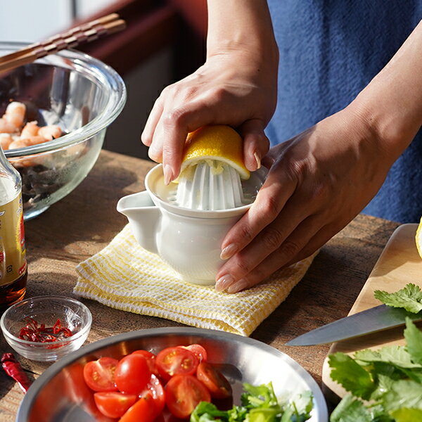 È÷°¡½Ã¾ß Áê¼ ·¹¸ó Á¶¸®°³ Â¥±â ÇÚµå °úÁó ½ºÄûÀú ÇÏ»ç¹Ì µµÀÚ±â ÀϺ»Á¦