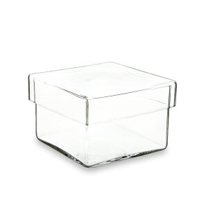 ؑɎqX xWJN ۑe KXe lp KX  ؑɎq