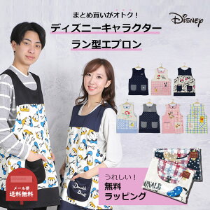 ディズニー チップとデール キッチン雑貨 消耗品の人気商品 通販 価格比較 価格 Com