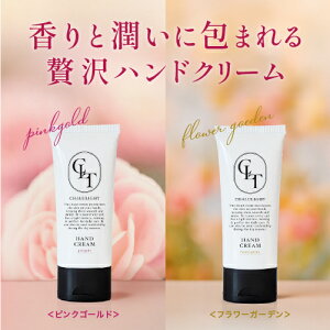 nhN[yVCg CX`CWO nhN[zr ΍ nhPA Y ێ 邨  Mtg v`Mtg v[g 蕨 MtgZbg l