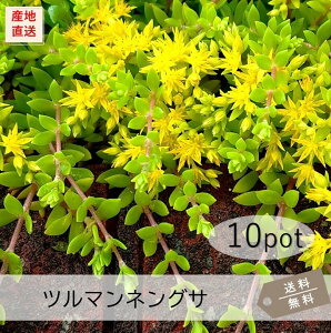 c}lOT10PotZbgijԕc@A@Z_@ԁ@΁@OhJo[