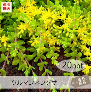 c}lOT20PotZbgijԕc@A@Z_@ԁ@΁@OhJo[