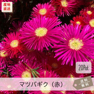 }coMNiԉԁj20PotZbgijԕc@A@Z_@ԉԁ@΁@OhJo[