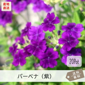 ho[xiieljyԁ@20PotZbgzԕc@OhJo[@h@ij