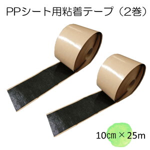 PPV[gpڒe[v@10cm×25mi2jiibNXS100pe[vjij G΍@R[|[V