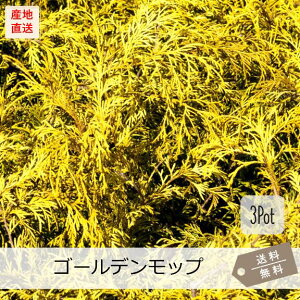 S[fbv3PotZbgijΒؕc@15.0cmVP(劔)@Rjt@[@t@J[[t