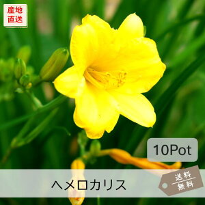 wJXEXefI10PotZbgijOhJo[@ԕc@ԁ@K[fjO@h@fC[@