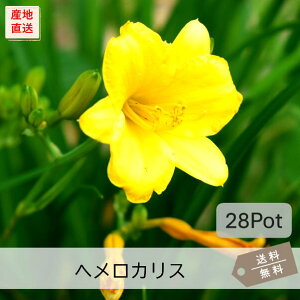 wJXEXefI28PotZbgijOhJo[@ԕc@ԁ@K[fjO@h@fC[@