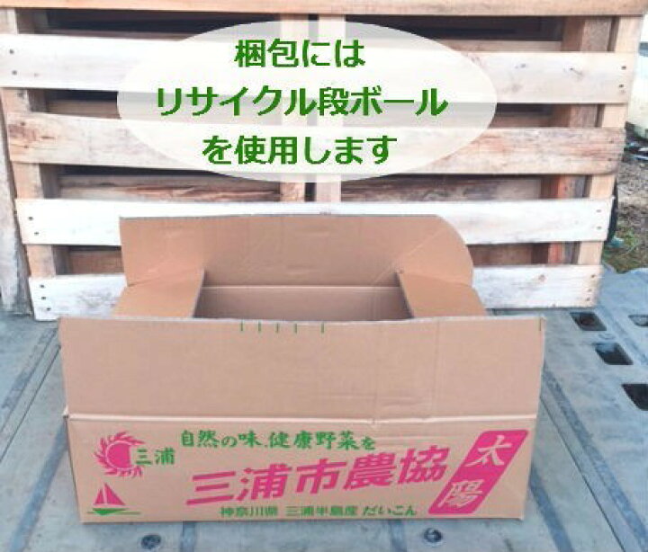 楽天市場 チェリーセージ ホットリップス potセット 240円 Pot 送料無料 ハーブ 花苗 赤白花 ガーデニング グランドカバー 下草 常緑 お台場ガーデンクラブ