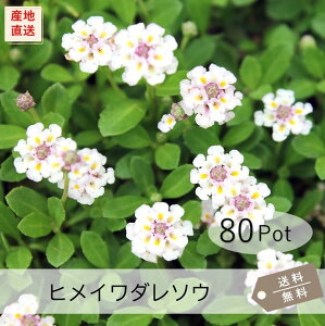 qC_\EisAj80PotZbgijԕc@G΍@ԁ@bsA@OhJo[@hy摜̗͌lqł͂܂Iz