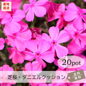 ōE_jGNbV20PotZbgijVoUN@c@ԕc@Z@sN@3|bg@9.0VP@K[fjO@@΁@G΍@N