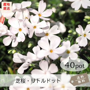 ōEghbg40PotZbgijVoUN@c@ԕc@@zCg@3|bg@9.0VP@K[fjO@@΁@G΍@N