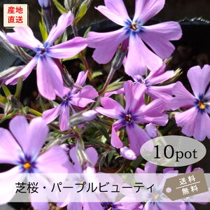 ōEp[vr[eB10PotZbgijVoUN@ԕc@@sN@K[fjO@@΁@N@