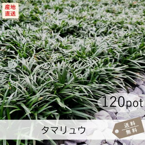 ^}E120PotZbgijOhJo[@ʗ@c@΁@A@K[fjO@Ή