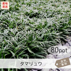 ^}E80PotZbgijOhJo[@ʗ@c@΁@A@K[fjO@Ή