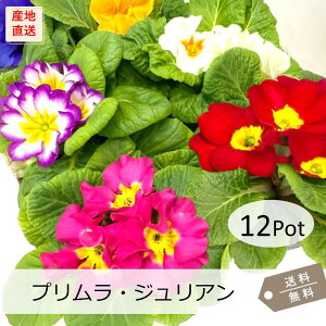 vWAELfB[y12PotZbgzԐF~bNX ԕc Ԓdc N