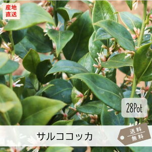 TRRbJ28PotZbgijc@OhJo[@@A@΁@K[fjO