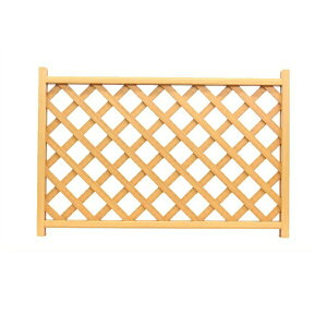 yؒeBXtFX 120cm80cmz