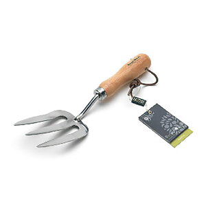 o[S{[ / XeX nhtH[N GTH/SHFRHS