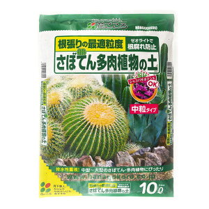 |{y Ԃ ڂĂ񑽓A̓y 10L