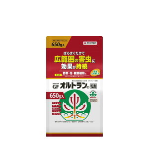 E ZFw ƒ뉀|pGFIg 1kg