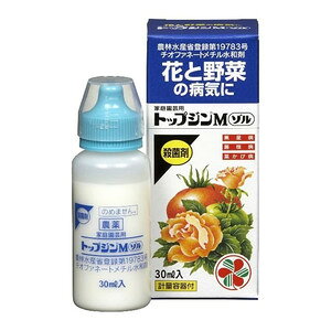 iEEE ZFw ƒ뉀|pgbvWM] 30ml