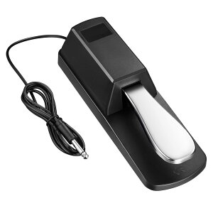 TXeCy_ L[{[h MIDI fW^sAmp jo[TsAmy_ ɐXCb`t 1/4'' 6.35mm ̓vO }n JVI [h RO xK[ [OɓK