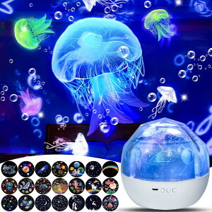 21ޓetB vl^E ƒp q {iI lC NQ   jR[ xbhTChv vWFN^[ Fϊ 360x] Px a NX}X v[g