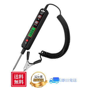ԗpdd DC 0.8V-100V S200cm ʓdmF ԓdT[LbgeX^[LED v[u  ԗpffc[ dhCo[ ԐH