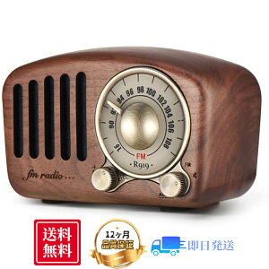 gWI AUXڑ  re[W u[gD[X Bluetooth ӓؐ FM MP3 v[[ NVbN ^ g 剹  x dቹ@FM 76 - 108 MHz
