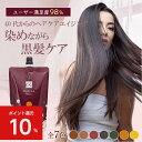 白髪染め レフィーネ ナチュラル カラートリートメント 300g ｜ 女性用 男性用 白髪染めトリートメント ヘアカラー ト…