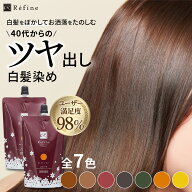 白髪染め レフィーネ ナチュラル カラートリートメント 300g 同色セット ｜ 女性用 男性用 白髪染めトリ…