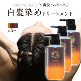 ＜TVshop限定パッケージ＞白髪染め レフィーネ ヘッドスパ トリートメントカラー 300g R3 ポンプ付き 3本セット ｜ 女性用 男性用 白髪染めトリートメント ヘアカラー ヘアカラートリートメント 白髪 白髪染 全体染め ノンジアミン 旧品 まとめ買い SHOW-WA 母の日